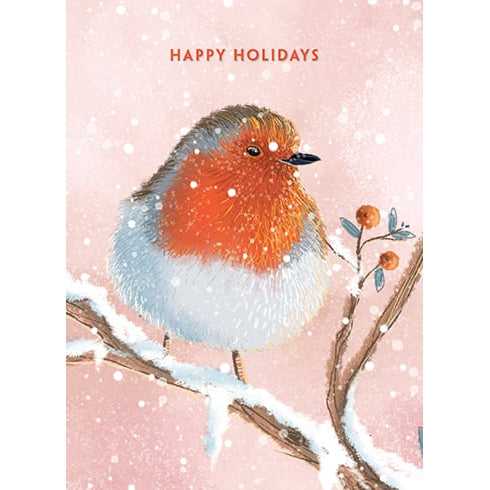 Robin Holiday Card