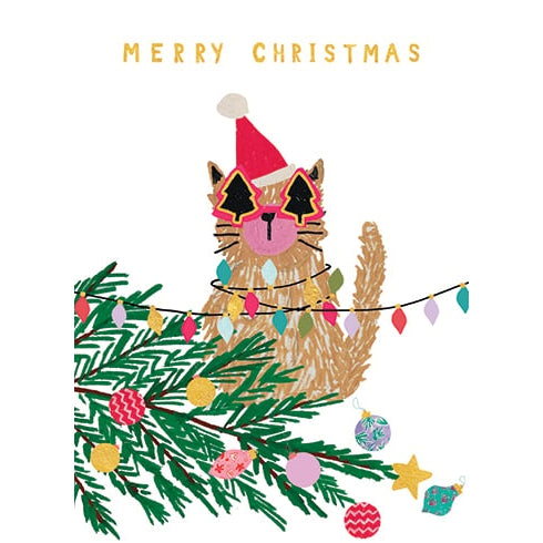 Cat In Trouble Holiday Card