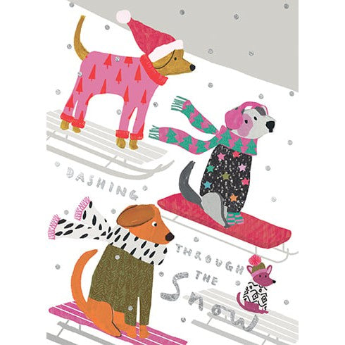 Dogs Sledding Boxed Cards