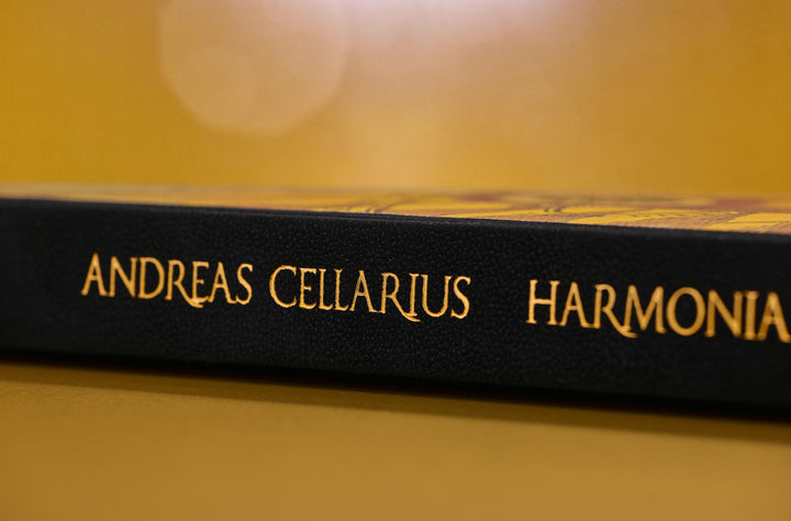 Cellarius Atlas - Just Fabulous Palm Springs
