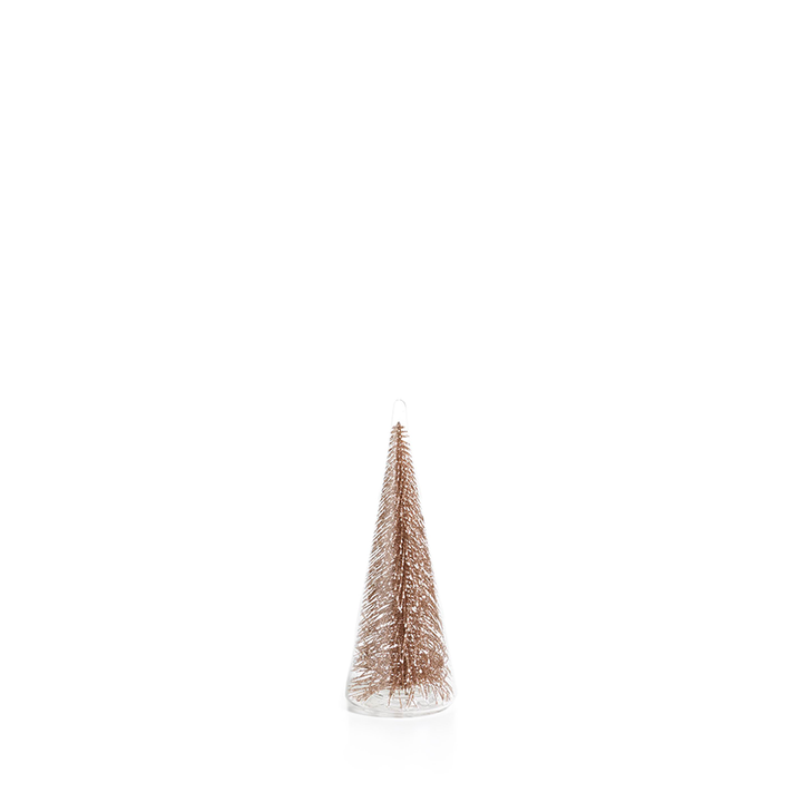 Champagne Decorative Tree Encased In Clear Glass - Small