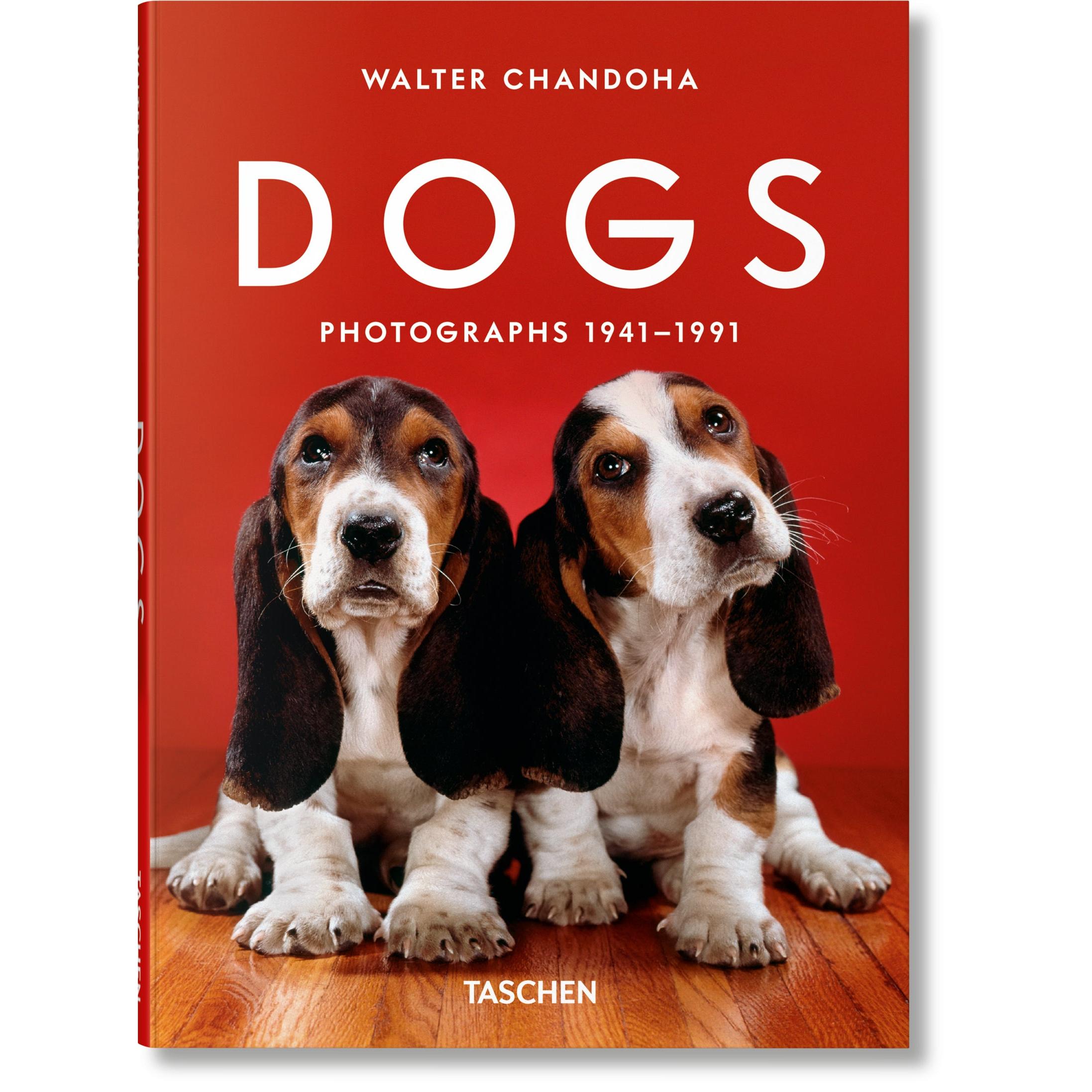 ICONS: Walter Chandoha - Dogs: Photographs 1941-1991