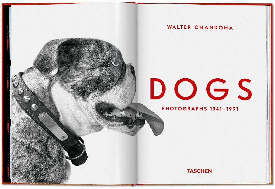 PO: Walter Chandoha - Dogs: Photographs 1941-1991