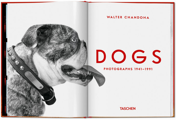 PO: Walter Chandoha - Dogs: Photographs 1941-1991