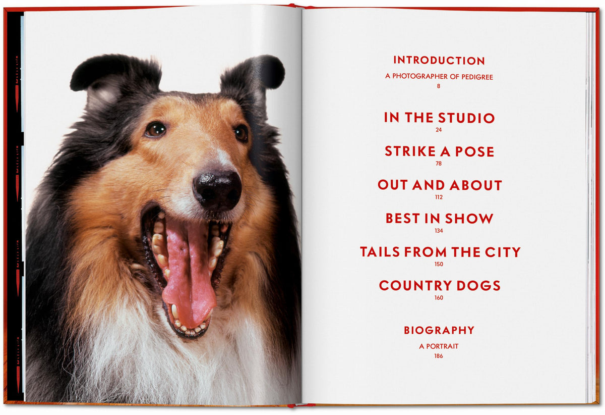 ICONS: Walter Chandoha - Dogs: Photographs 1941-1991