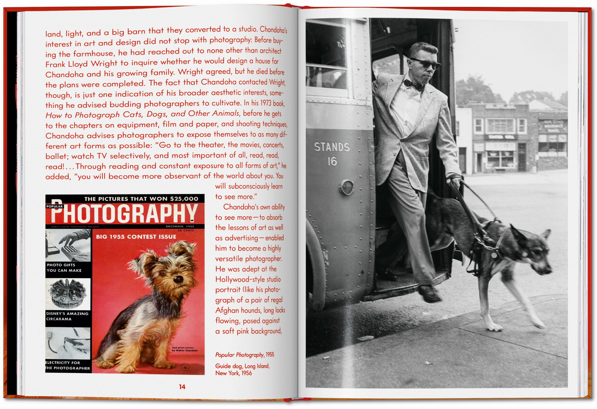 ICONS: Walter Chandoha - Dogs: Photographs 1941-1991