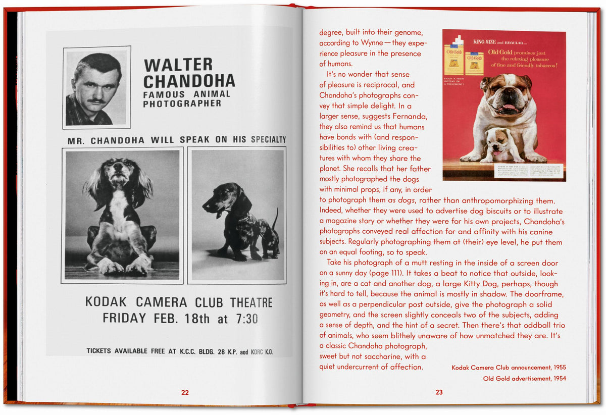 ICONS: Walter Chandoha - Dogs: Photographs 1941-1991