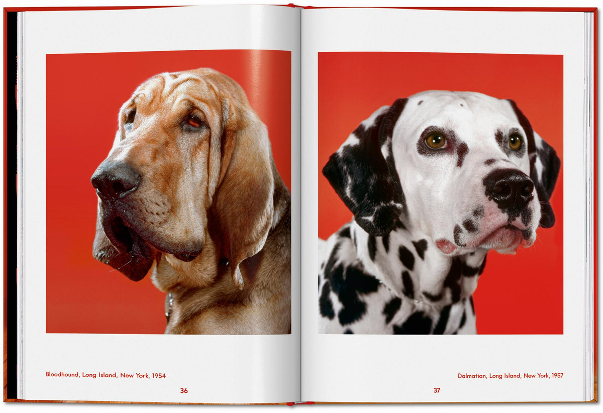 ICONS: Walter Chandoha - Dogs: Photographs 1941-1991