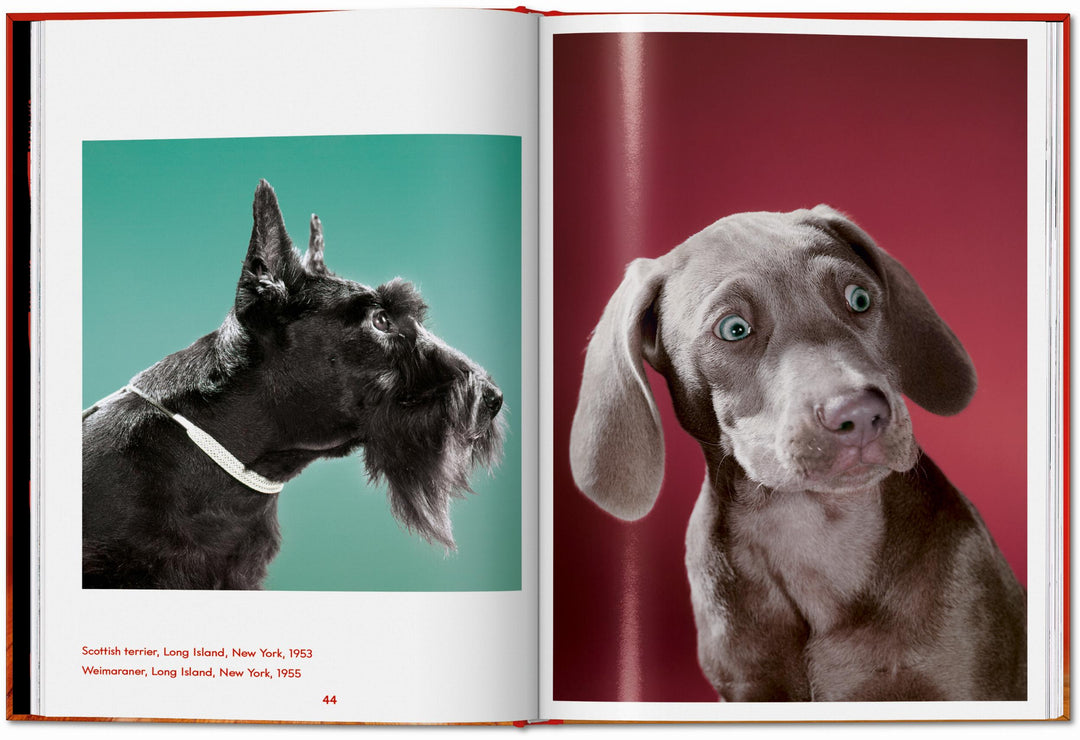 PO: Walter Chandoha - Dogs: Photographs 1941-1991