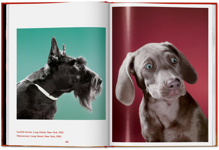 PO: Walter Chandoha - Dogs: Photographs 1941-1991