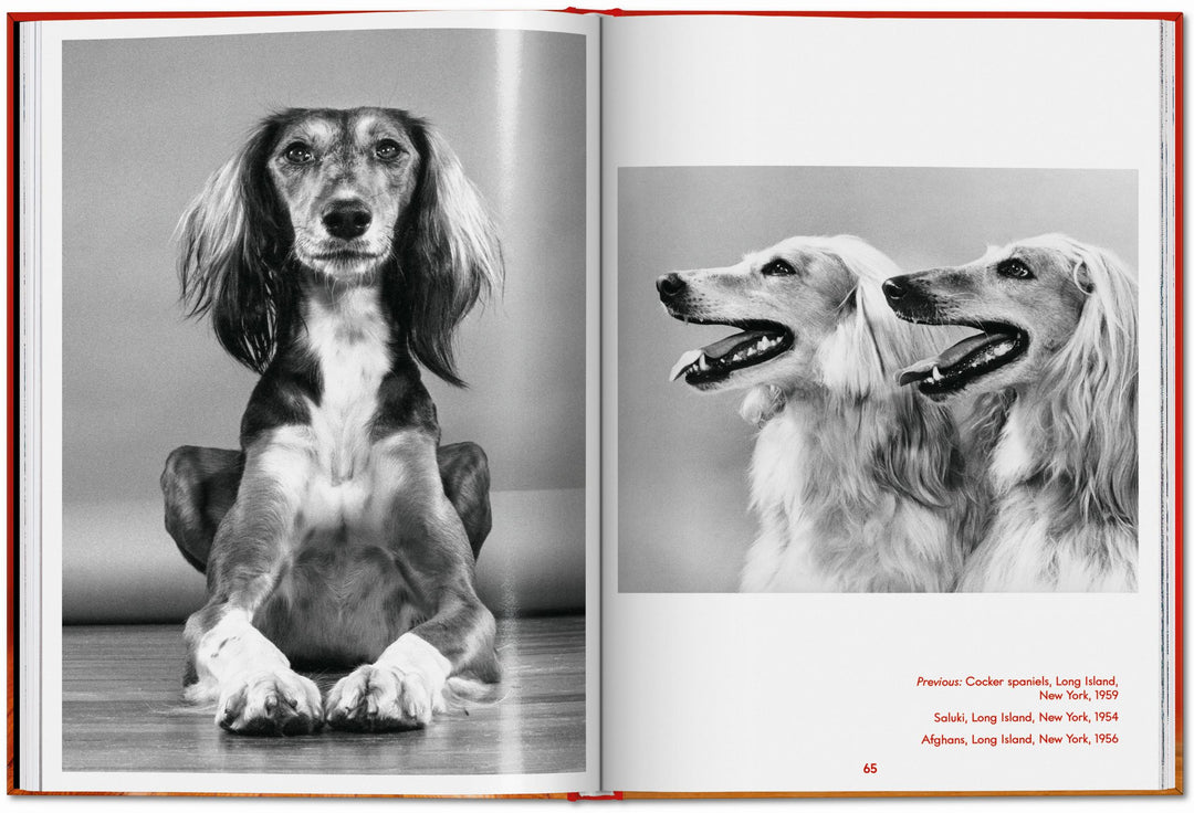 PO: Walter Chandoha - Dogs: Photographs 1941-1991