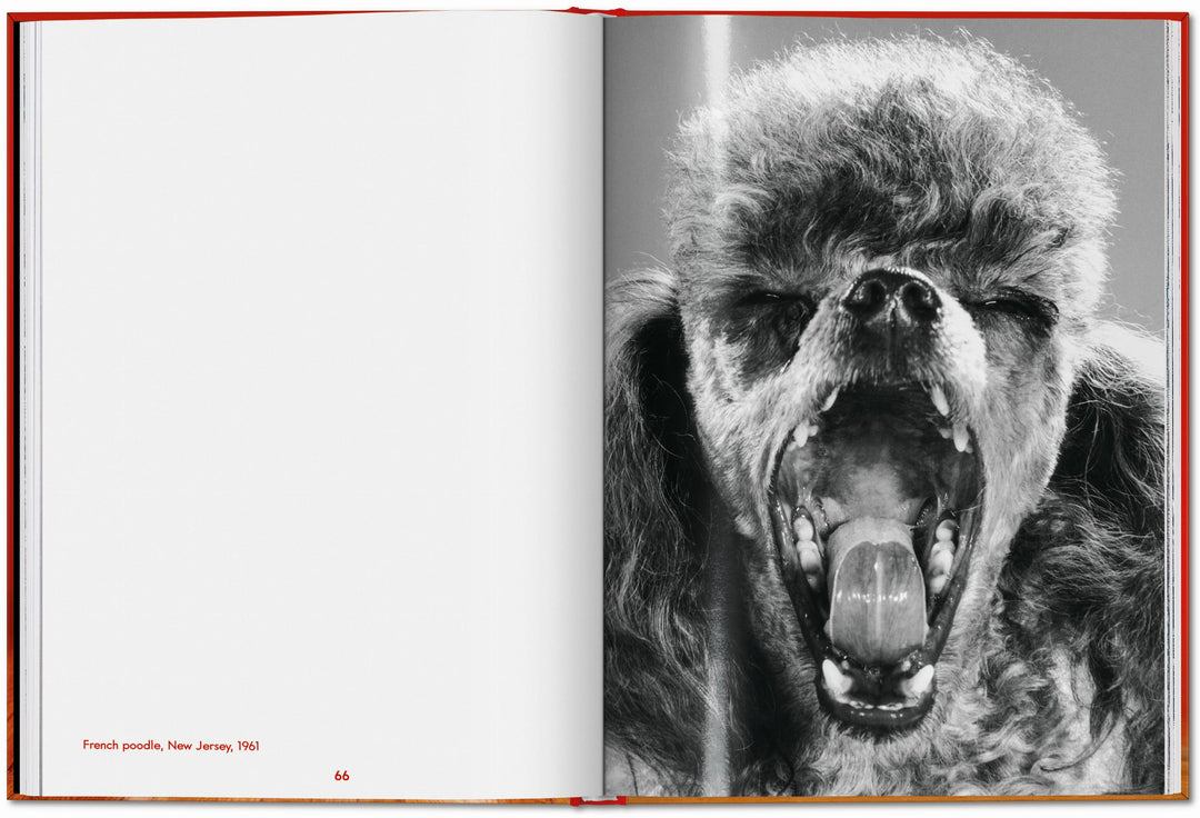 PO: Walter Chandoha - Dogs: Photographs 1941-1991
