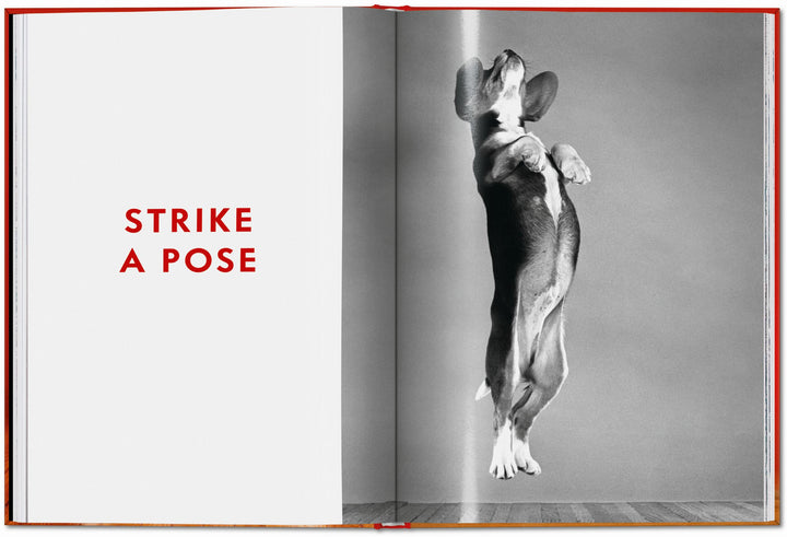 PO: Walter Chandoha - Dogs: Photographs 1941-1991
