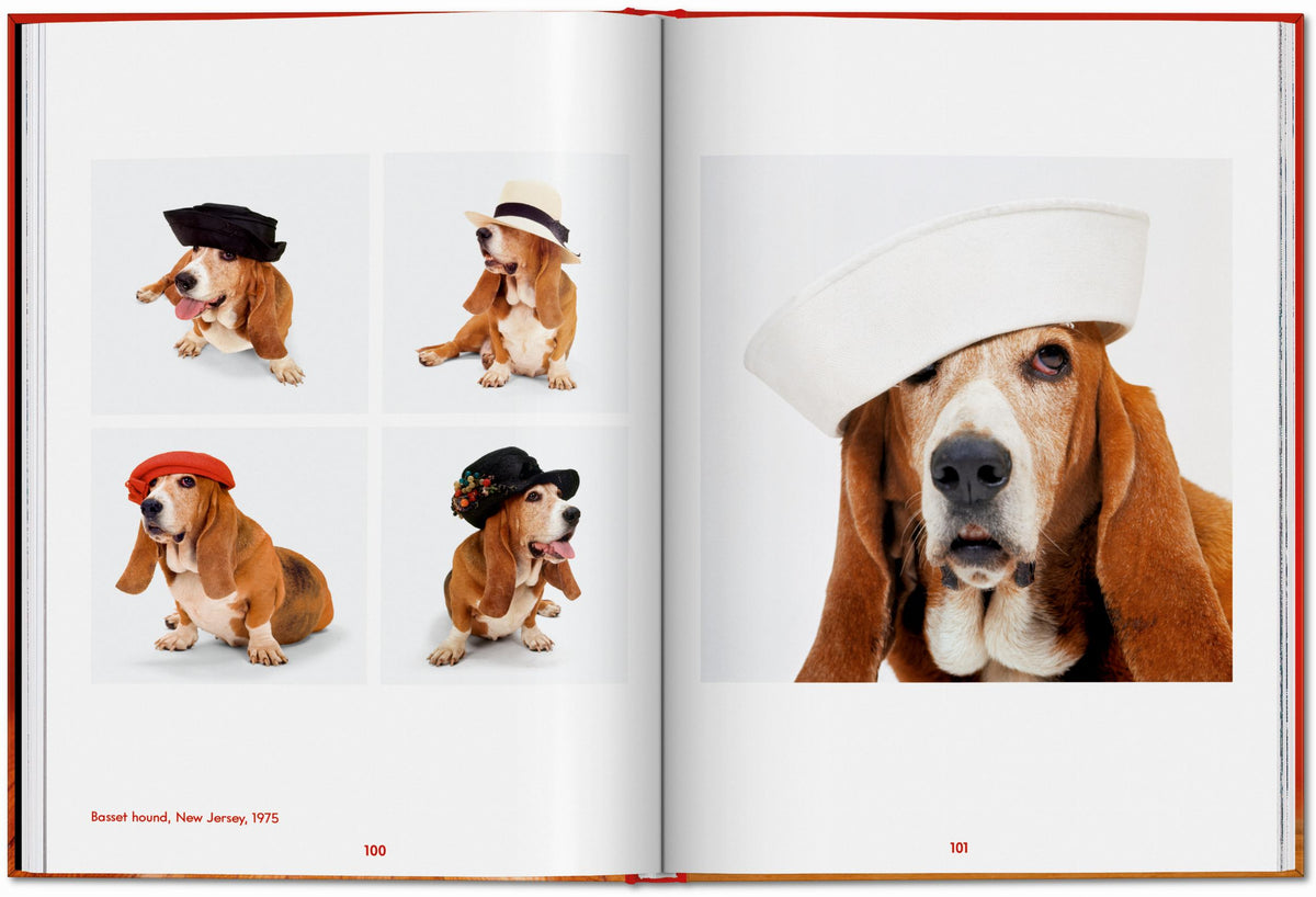 ICONS: Walter Chandoha - Dogs: Photographs 1941-1991