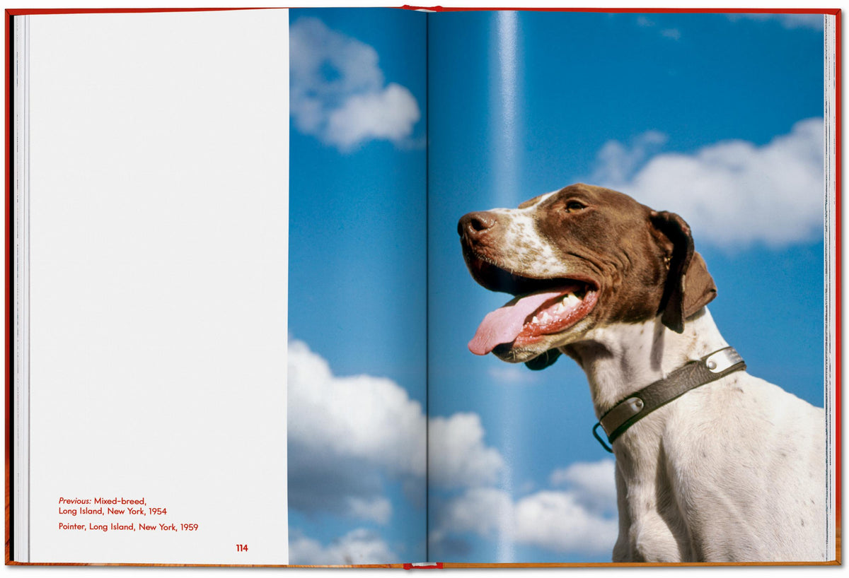 ICONS: Walter Chandoha - Dogs: Photographs 1941-1991