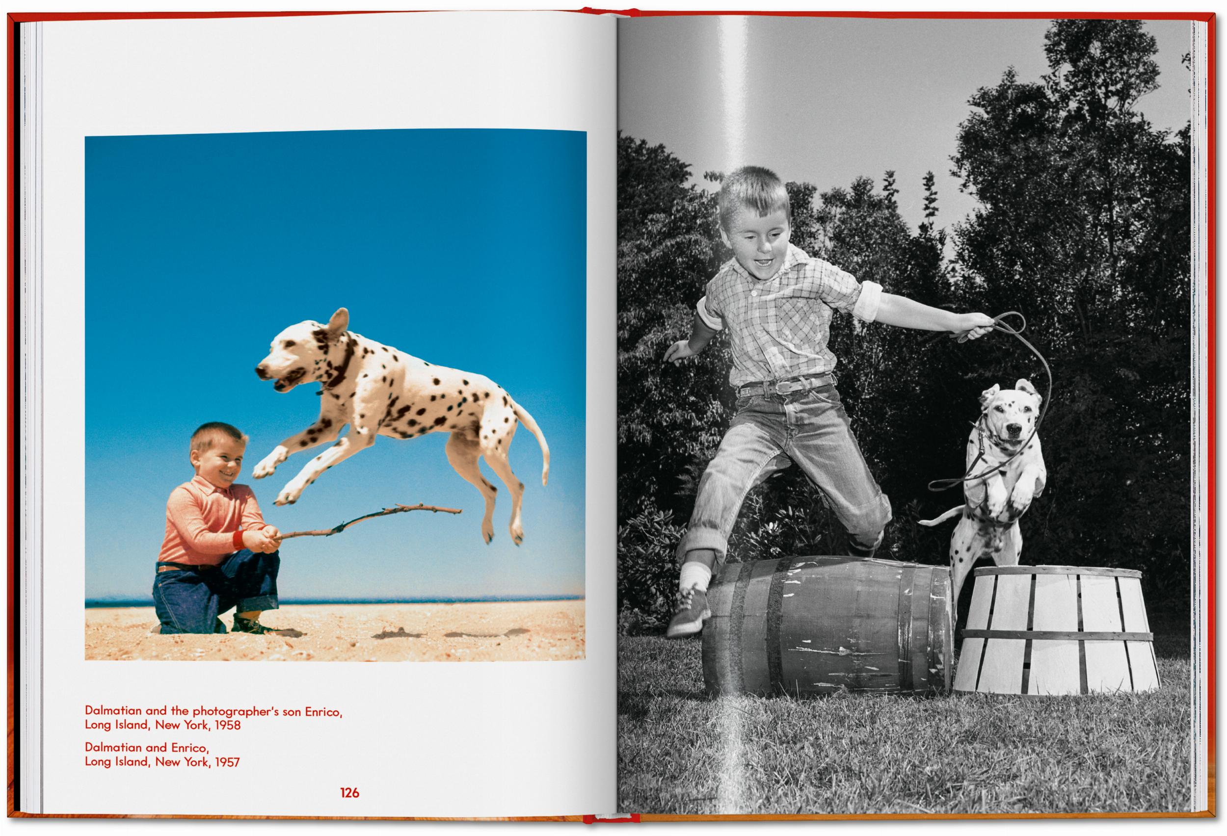 ICONS: Walter Chandoha - Dogs: Photographs 1941-1991