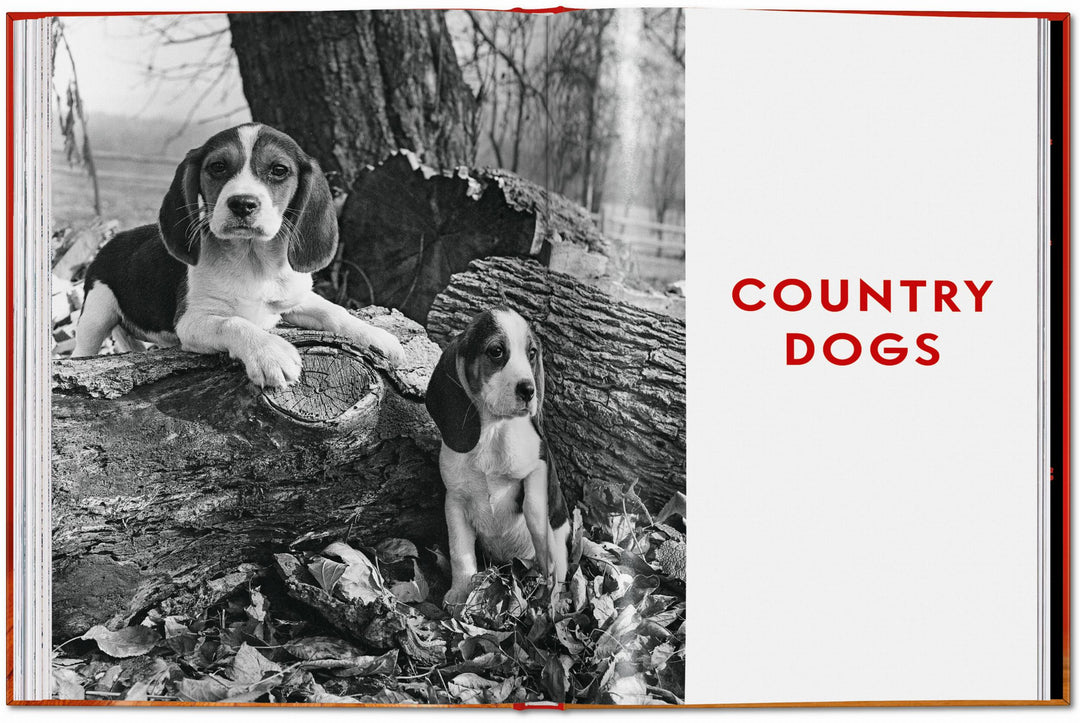 PO: Walter Chandoha - Dogs: Photographs 1941-1991