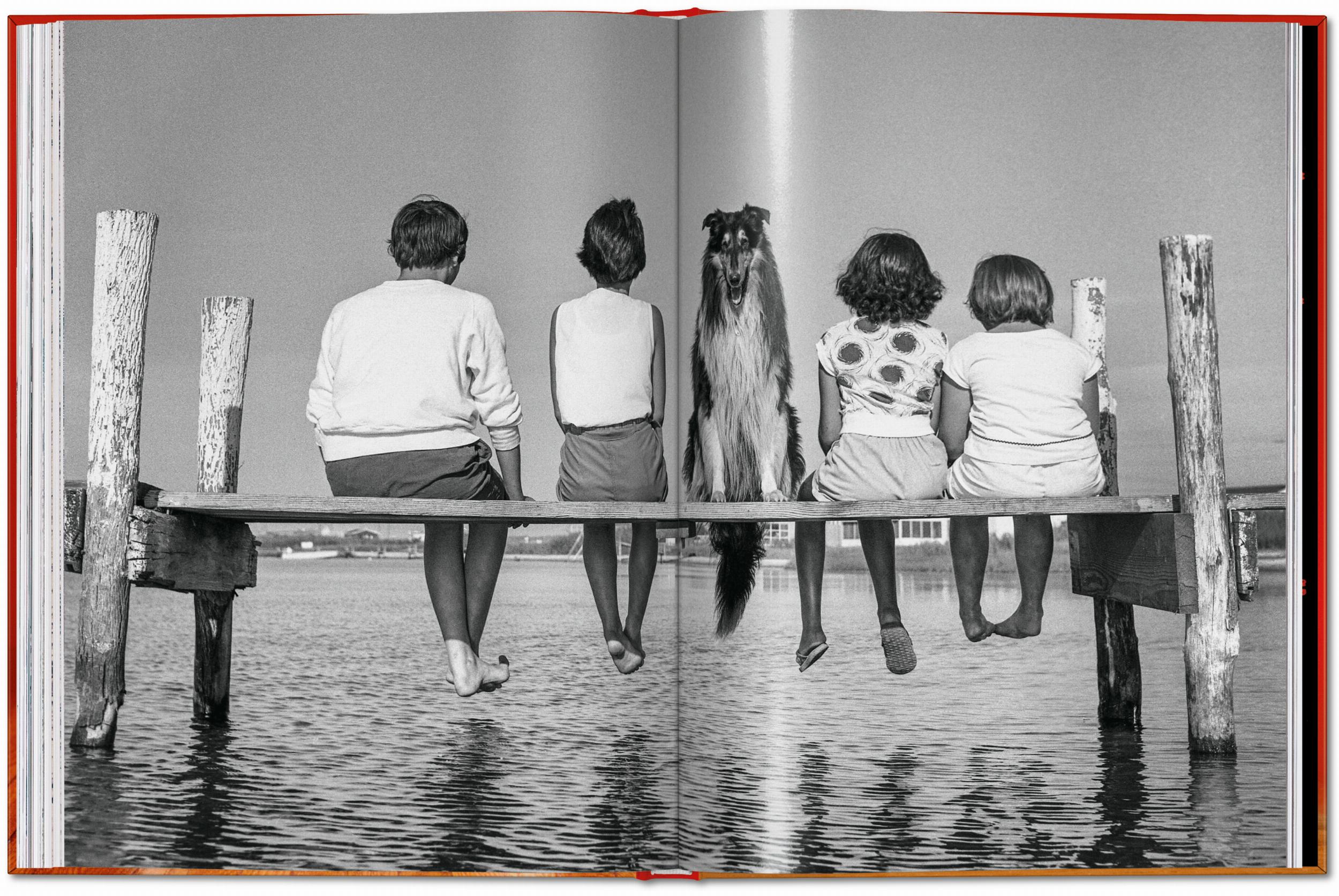 ICONS: Walter Chandoha - Dogs: Photographs 1941-1991