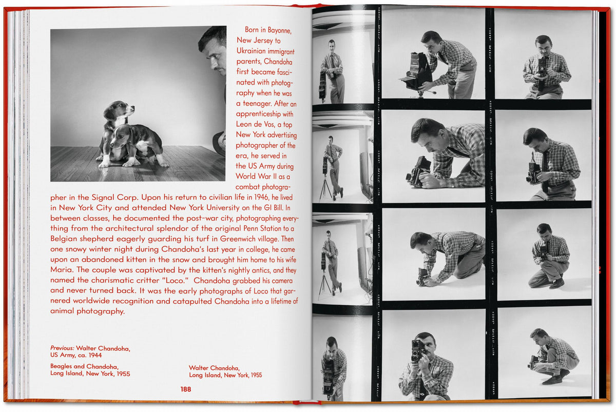ICONS: Walter Chandoha - Dogs: Photographs 1941-1991