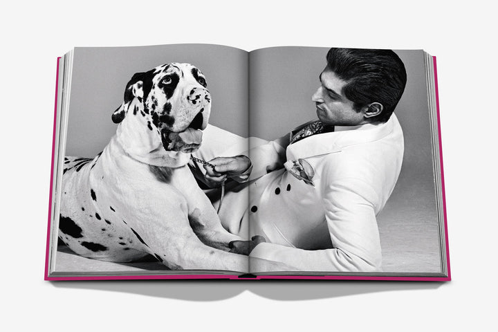Chic Dogs