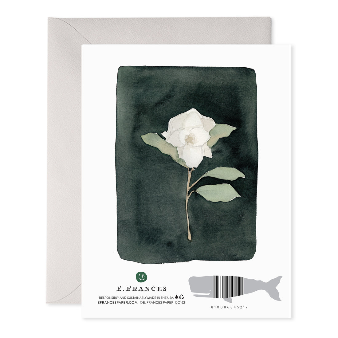 White Flower Greeting Card