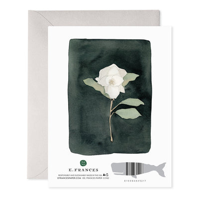 White Flower Greeting Card