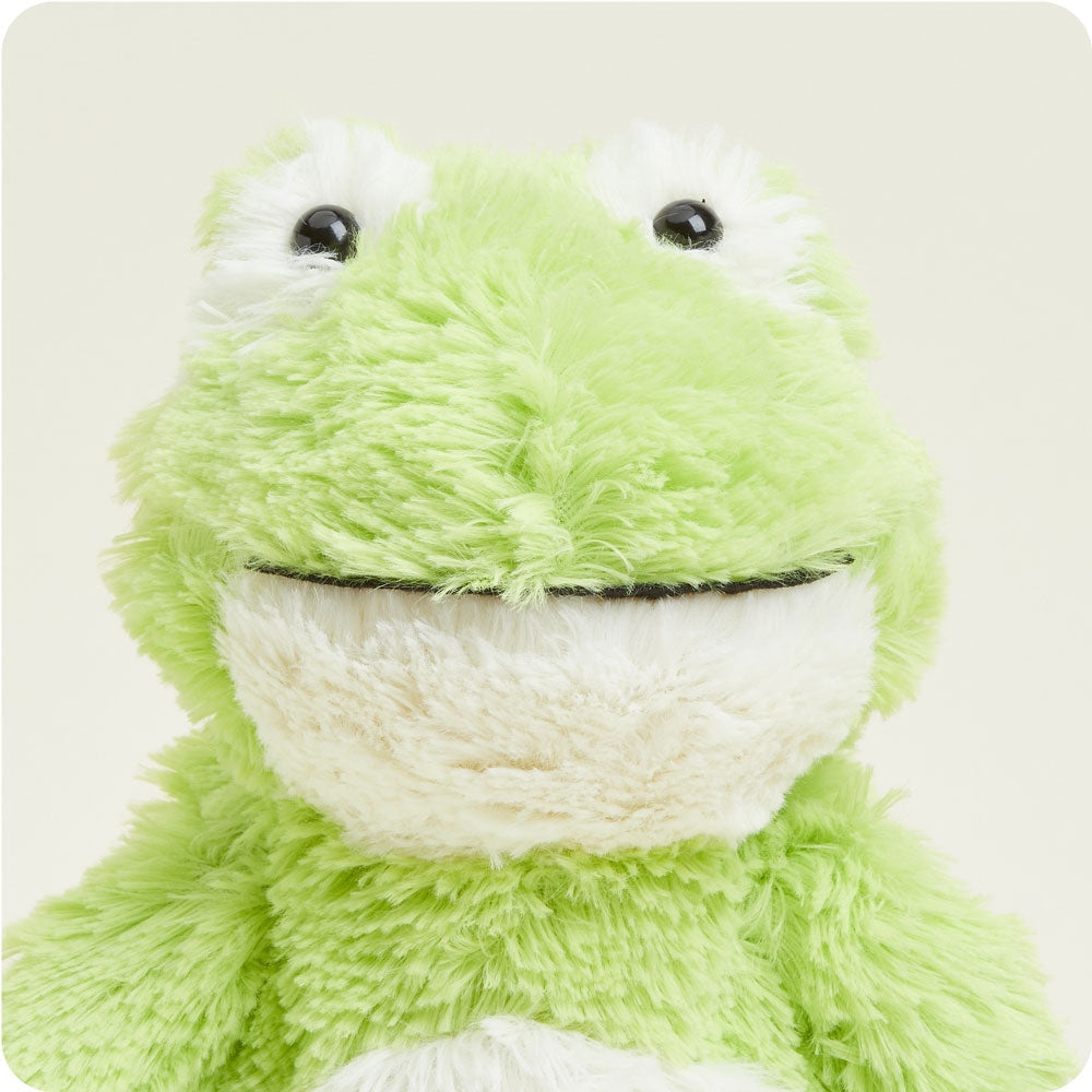 Frog 13" Warmies Plush