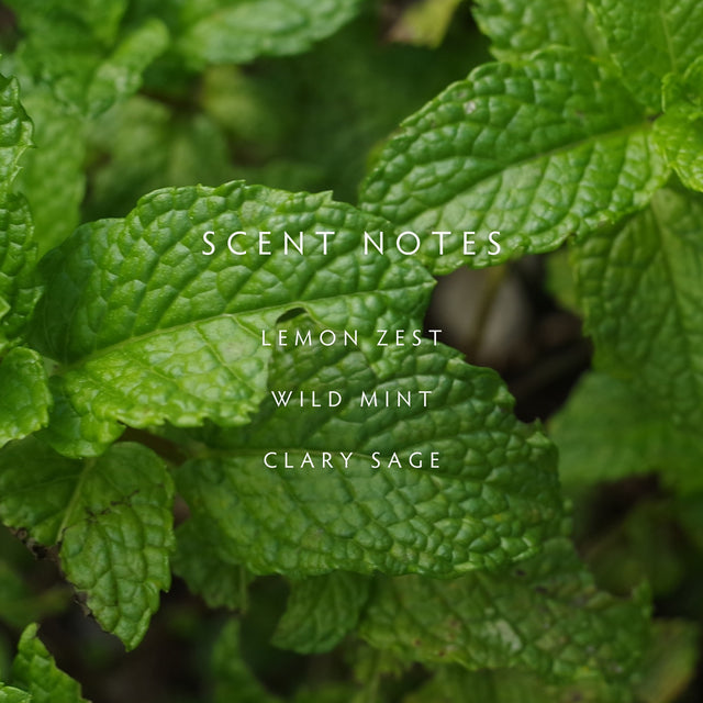 Crushed Mint Diffuser