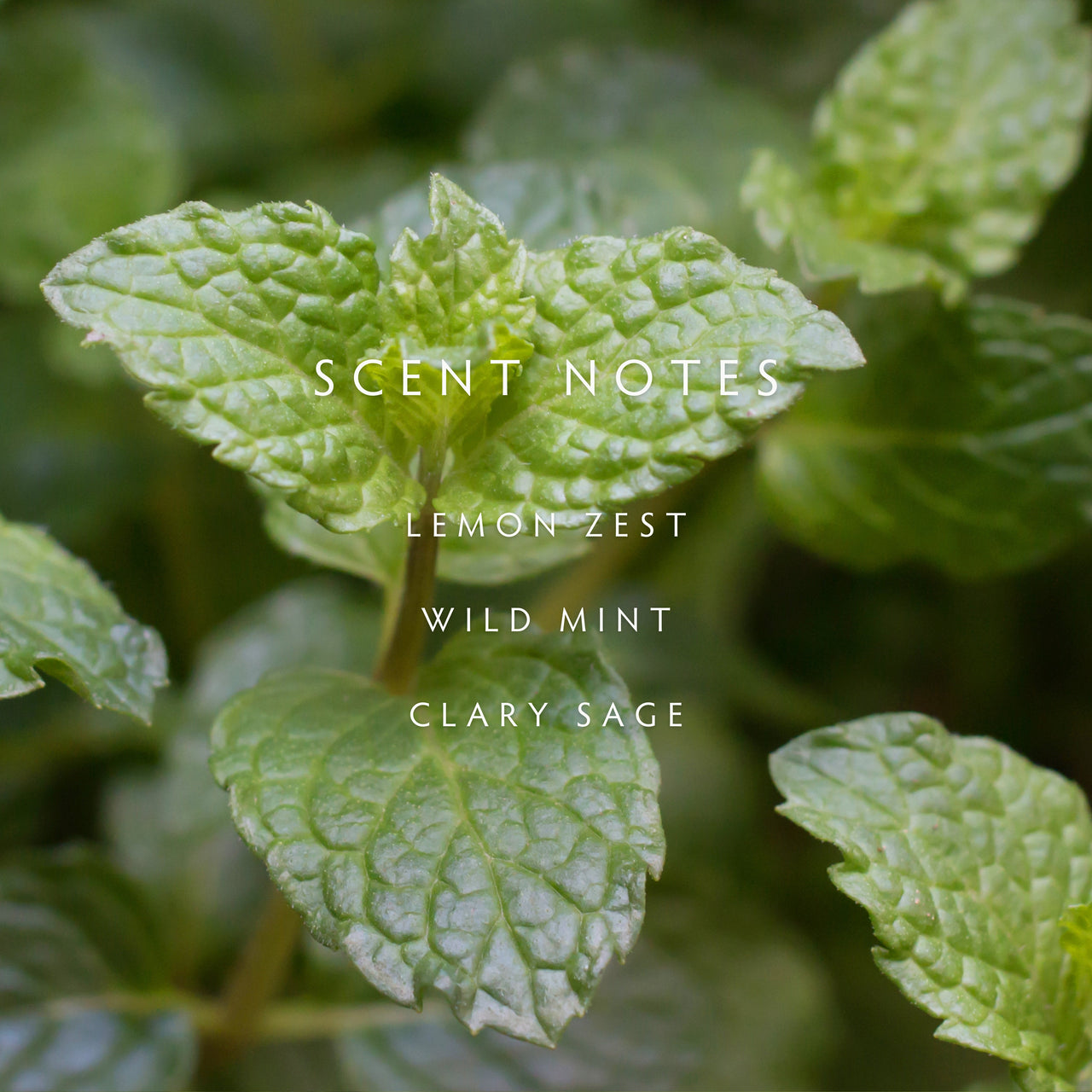 Crushed Mint Room Spray