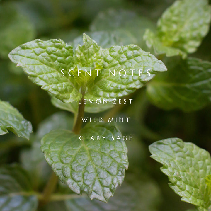 Crushed Mint Room Spray
