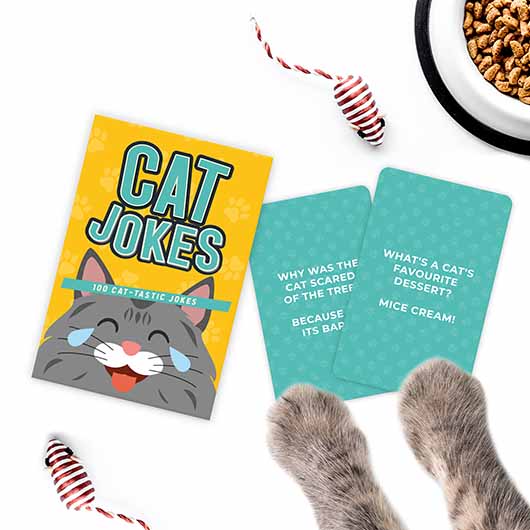 Cat Jokes Card Deck