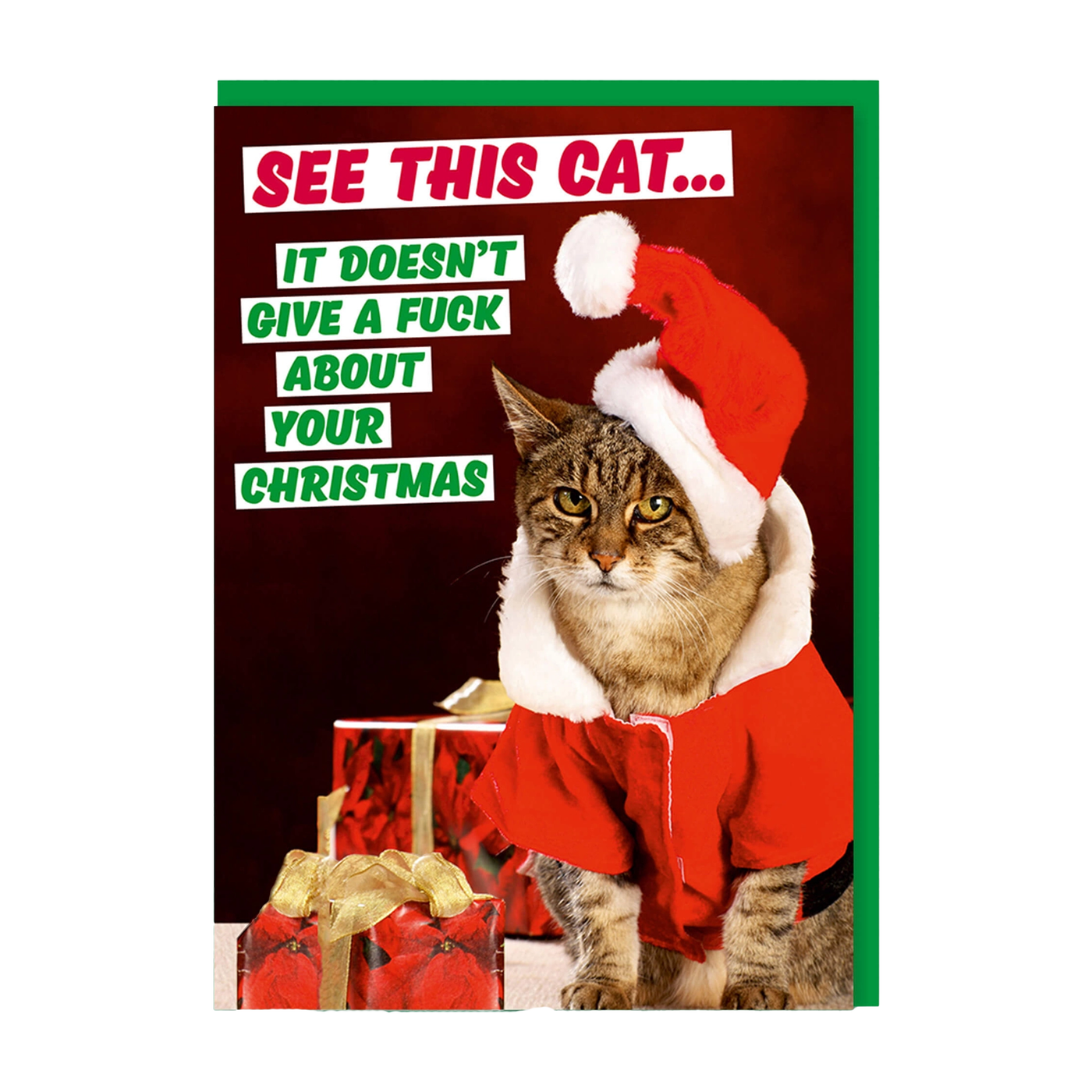 See This Cat. It Doesn't Give A F*** About Your Christmas Holiday Card