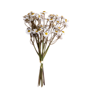Bundle Of Artificial White Chamomile Flowers