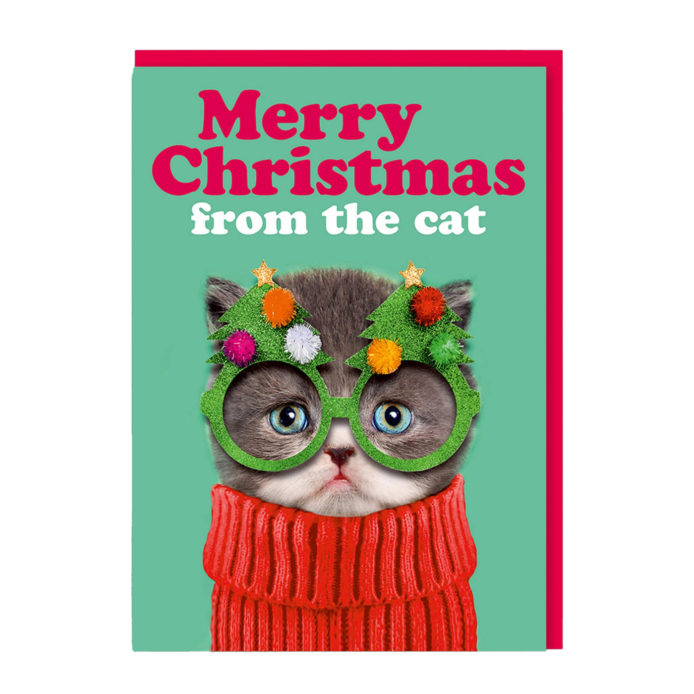 Merry Christmas From The Cat Holiday Card