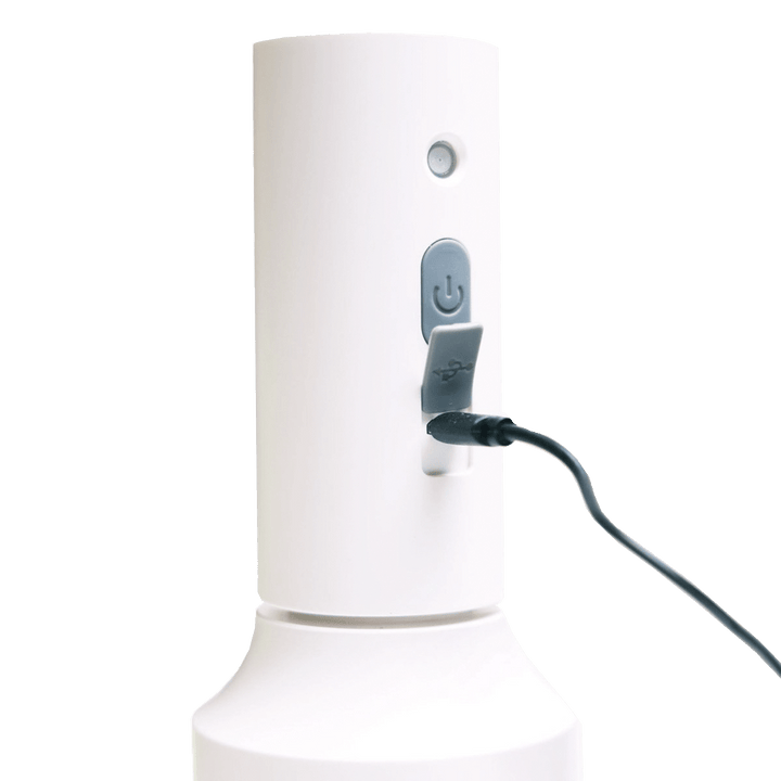 Mr Mister USB Electric Plant Spray Bottle