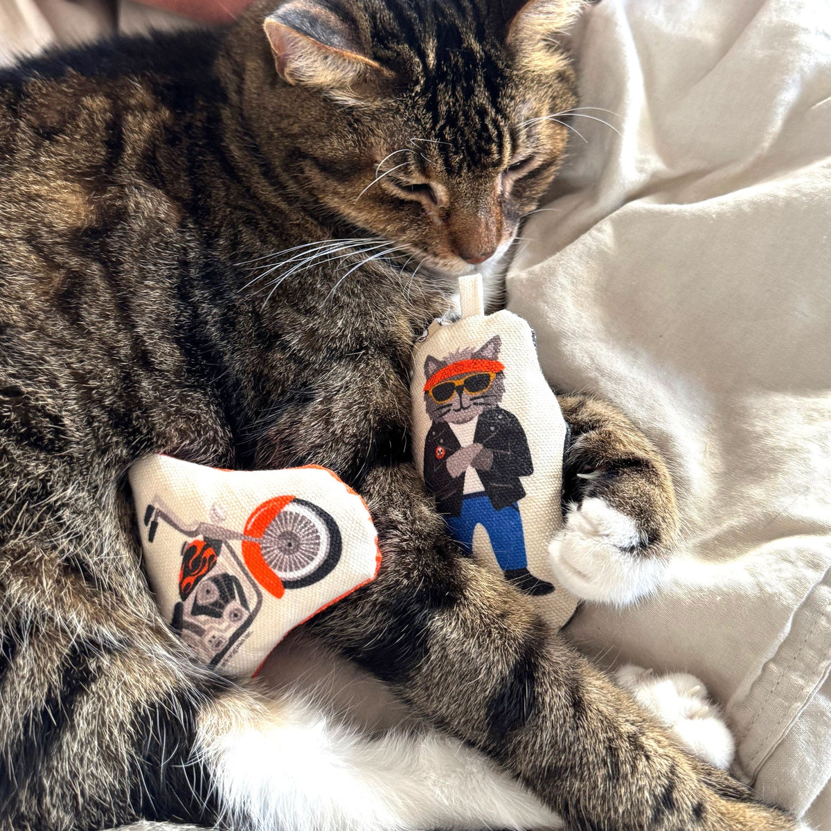 Go Kitty Go Set Motorcycle Kitty