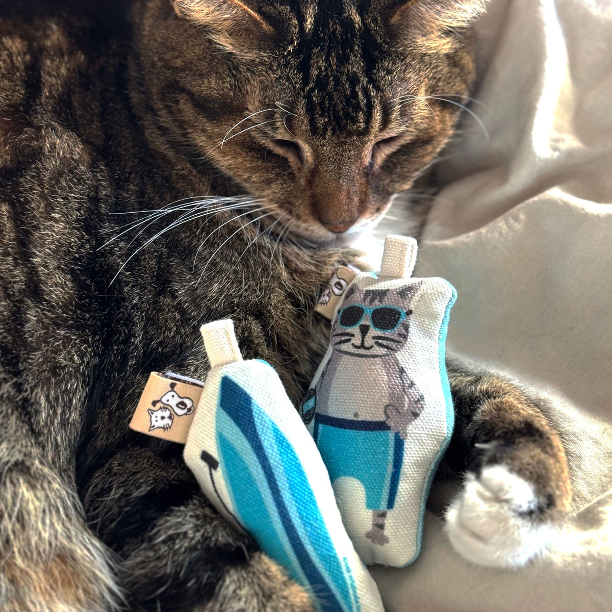 Go Kitty Go Set Surf Kitty