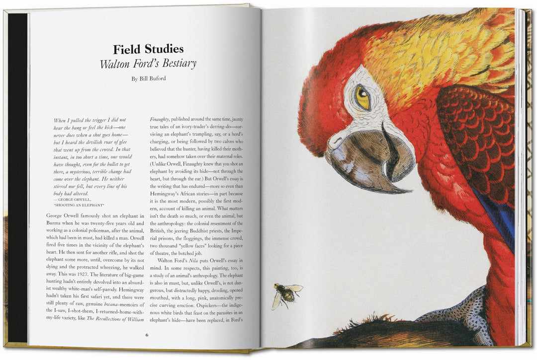 45th Anniversary: Walton Ford