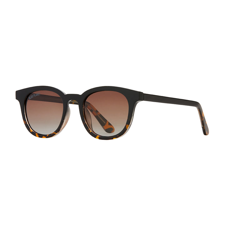 Gram Polarized Sunglasses - Onyx To Walnut Tortoise Fade
