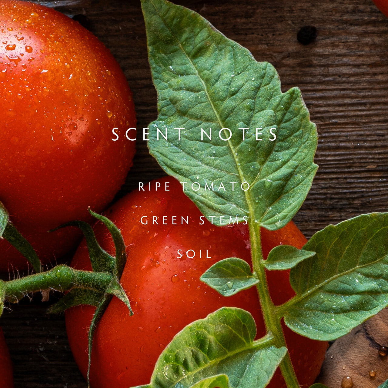 Heirloom Tomato Room Spray