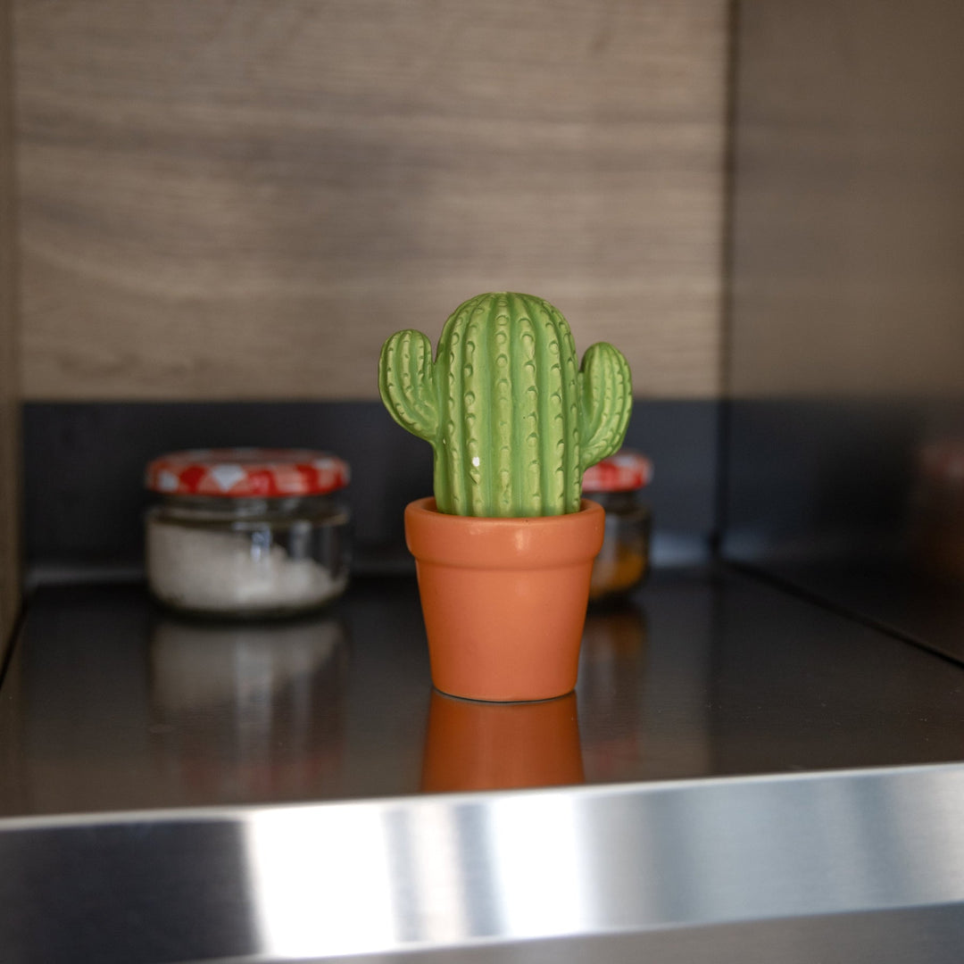 Cactus Salt & Pepper Set