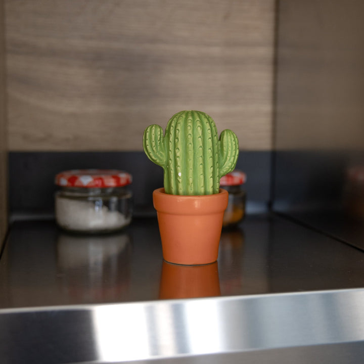 Cactus Salt & Pepper Set