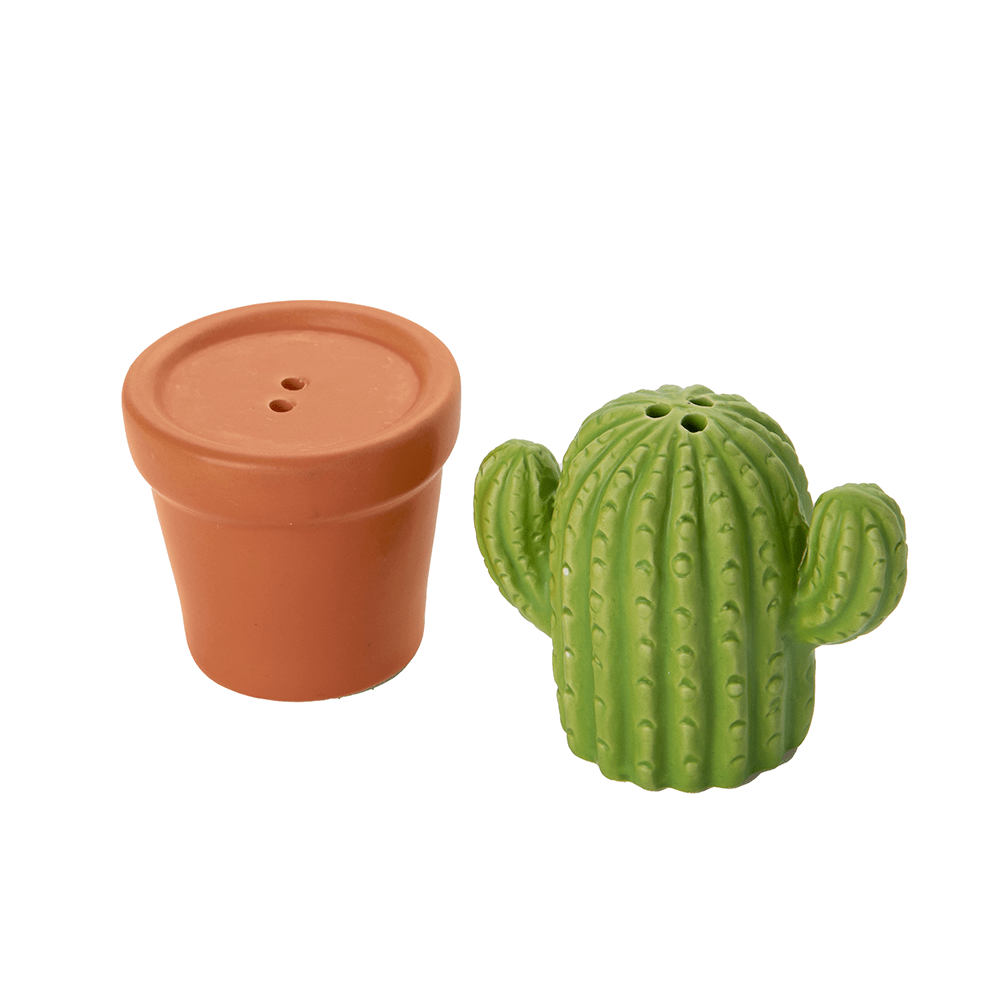 Cactus Salt & Pepper Set