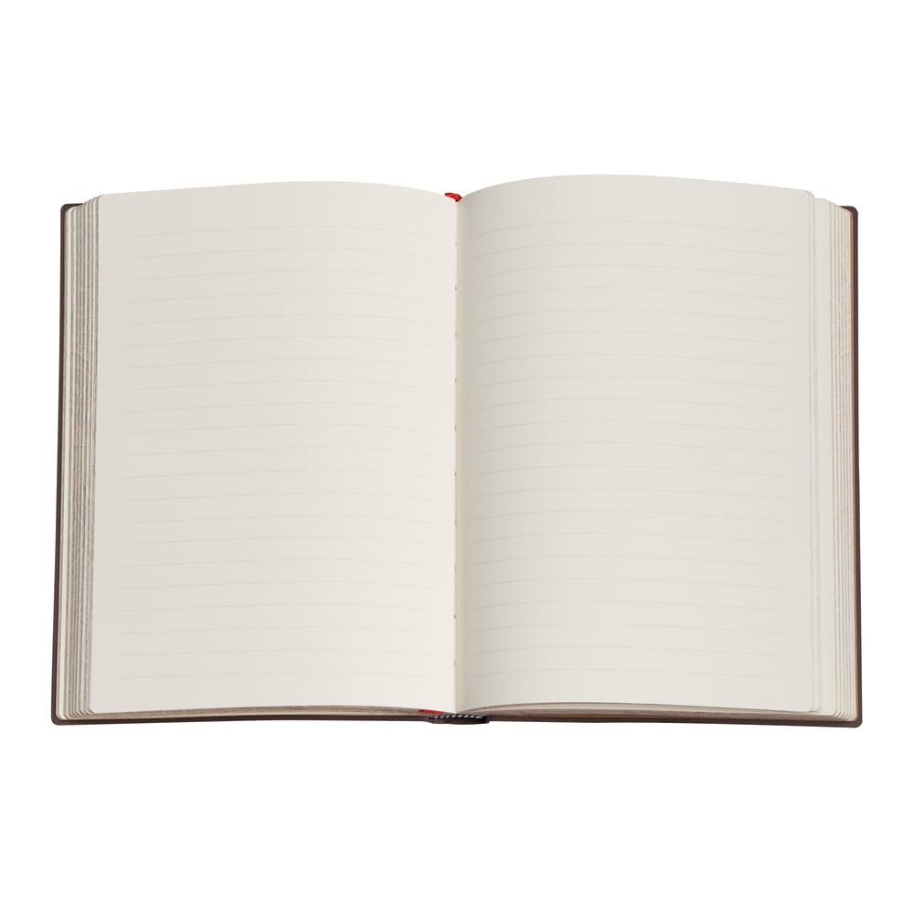 Van Gogh Irises Ultra Lined Hardcover