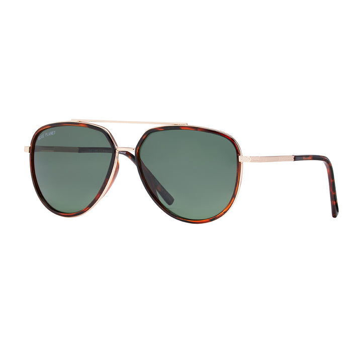 Jordan Polarized Sunglasses - Brown Tortoise / Matte Gold