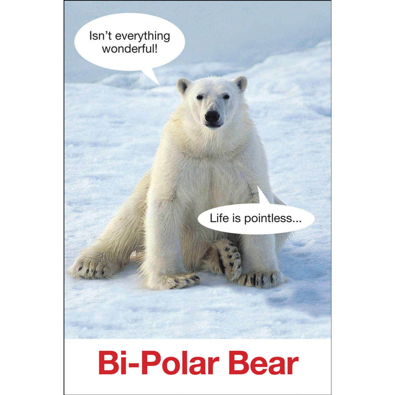 Bi-Polar Bear Greeting Card