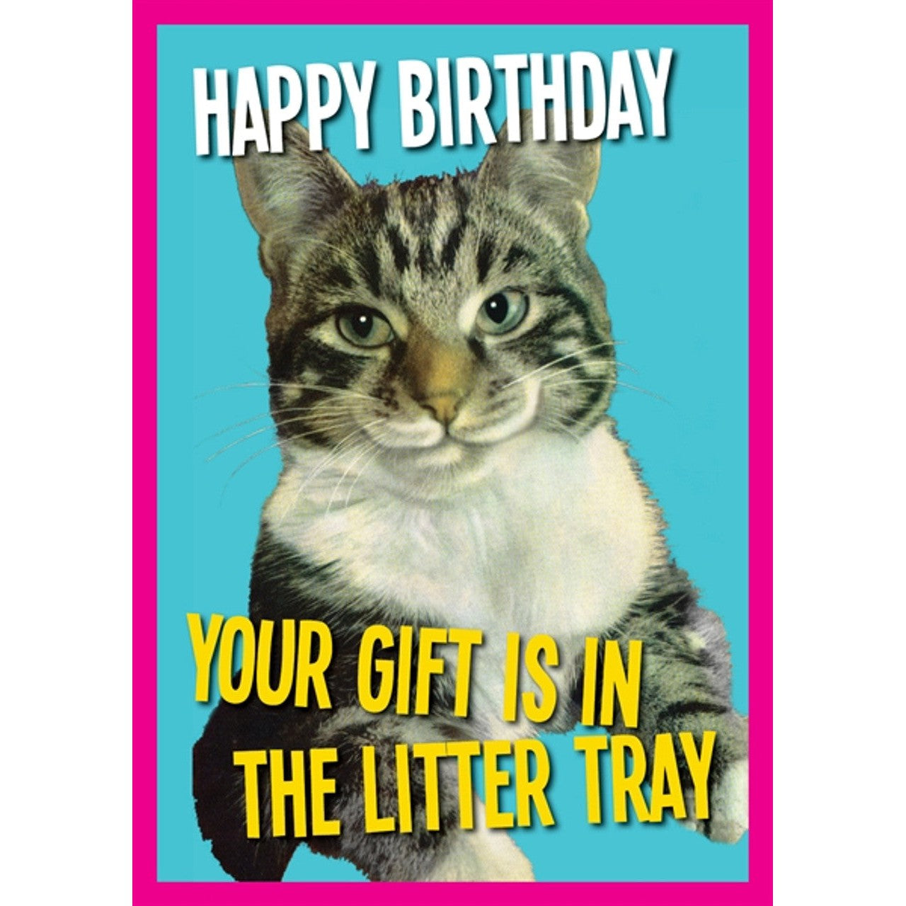 Birthday Litter Birthday Card