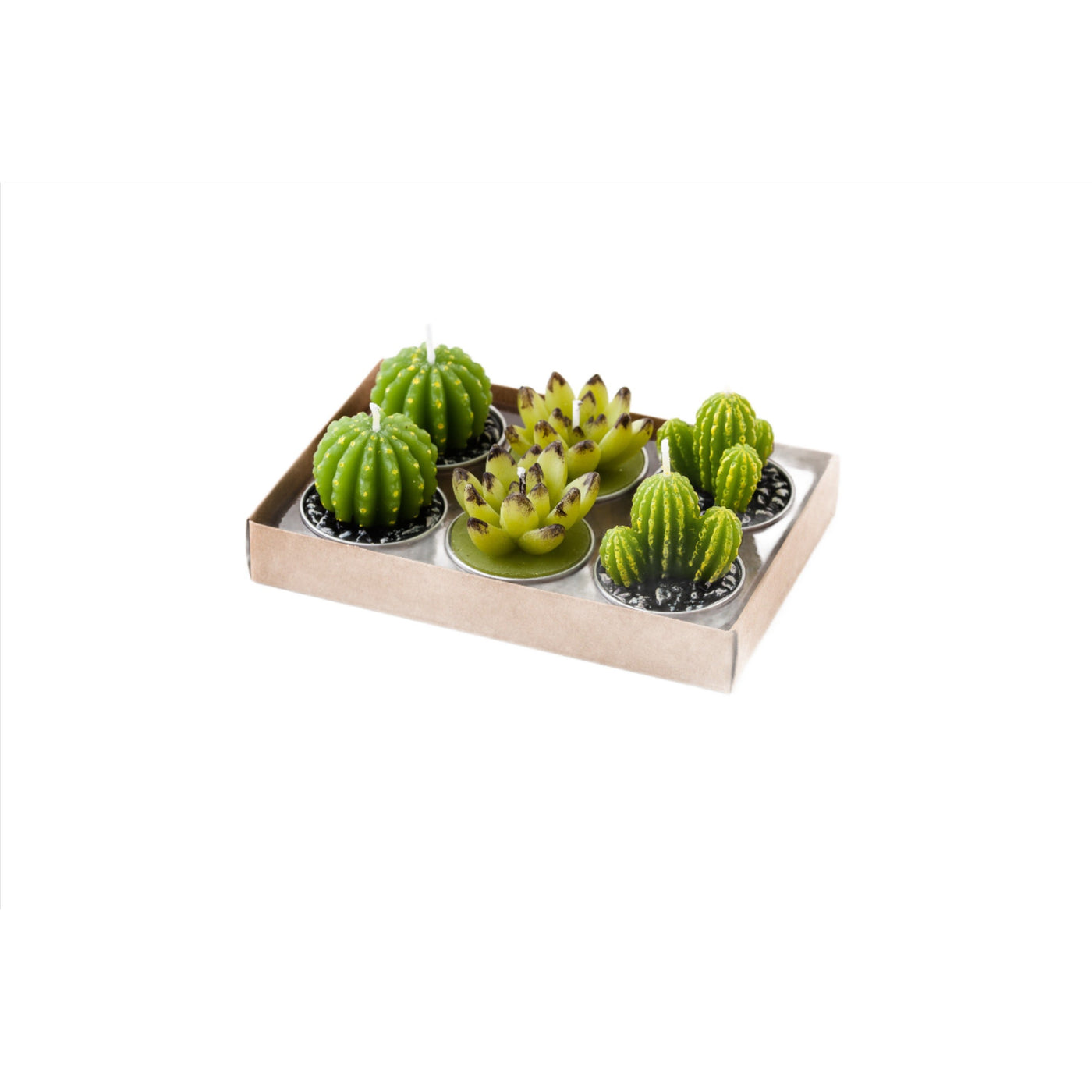 Assorted Cactus T-Light Gift Set