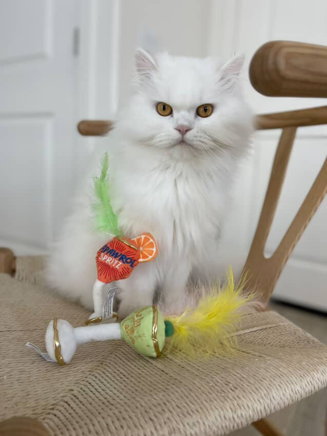 Kitty Cocktails Catnip Toys