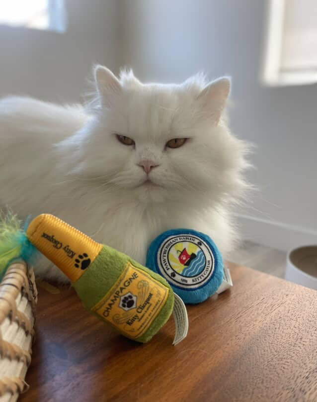 Kitty Clicquot Bottle & Caviar Catnip Toys
